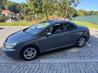 PEUGEOT 307cc 2.0i kabriolet 2007 - 9