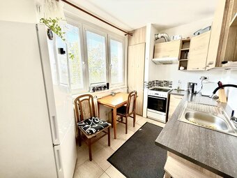 Prodej bytu 2+1/L, 48m2 + 3 m2 Lodžie ul. Předmostí Kralupy - 9