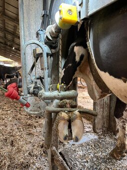 Hydraulická paznehtářská klec - 9