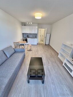 Pronájem bytu 1+kk, 33 m2 s garážovým stáním v ceně - 9
