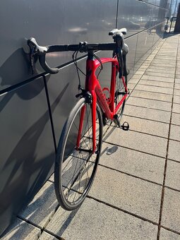 Silniční kolo Specialized Tarmac Carbon - 9