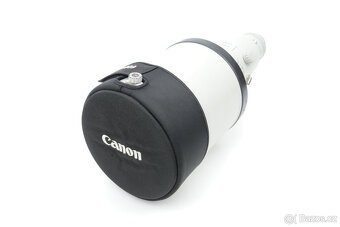 Canon EF 600 mm f/4 L IS II USM - 9