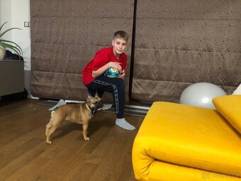 Luxusní zatemňovací závěsy + kolejnice, SLEVA jen 490,- - 9