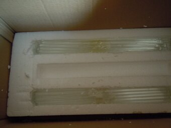 SERGIO  W  0528 - 02 N - 9