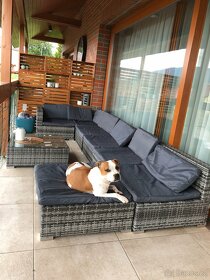 8dílná zahradní sedací souprava s poduškami polyratan šedá - 9