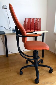 Zdravotní ergonomická židle SpinaliS APOLLO - 9