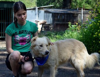 TAXO K ADOPCI - 2 LETÝ ÚŽASNÁK DO NEPOHODY - 9