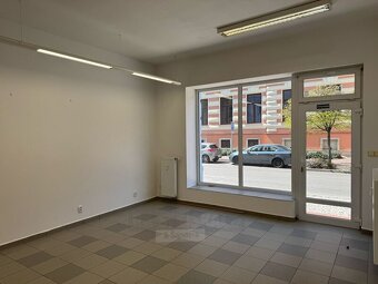 Pronájem nebytového prostoru 40 m² – Jírovcova ulice, České  - 9