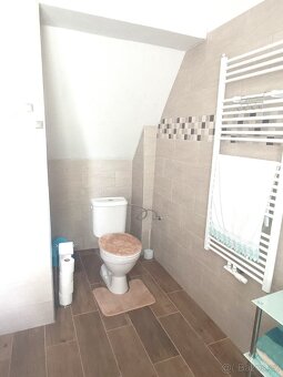 UBYTOVÁNÍ - JIŽNÍ ČECHY - Chalupa U Aničky - Milejovice - 9