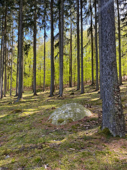 Prodej stavebního pozemku - 9