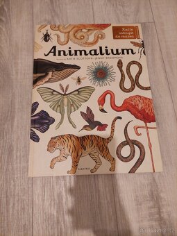 Dětské knihy, top stav - 9