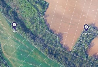 Prodej podílu 1/2 lesa 9 147 m², Ořechov - 9