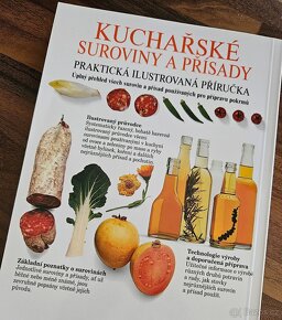 Velká česká kuchařka/Obrazová kuchařka/Rychlé pokrmy aj. - 9