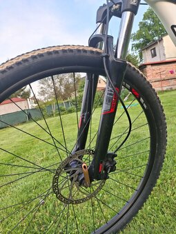 Felt Nine 70 29" - 9