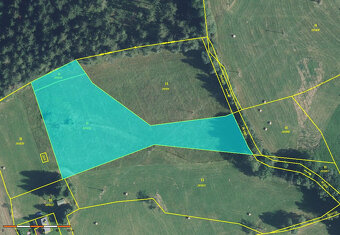 Prodej pozemku 5776 m2 v Borové u Poličky, okr. Svitavy - 9