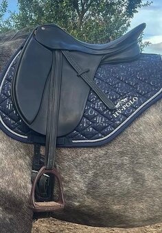 Drezurní sedlo Collegiate (podobné Bates) - 9