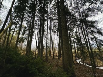 Prodej, pozemek, 2 467 m, , Stojice, Česko - 9
