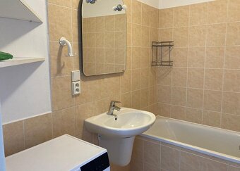 krásný byt 1+1, 40m2 v ul. Olštýnská, Praha 8 - Troja - 9