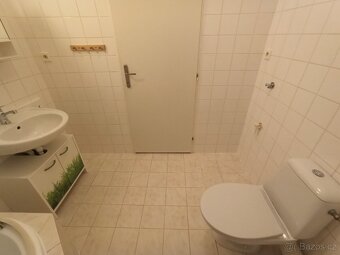 Pronájem útulného bytu 1+kk, 32,8 m² - 9