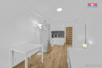 Prodej, byt 4+kk/2L, 104 m2, Praha 10-Malešice - 9