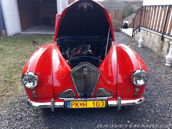 Healey Abbott - 9