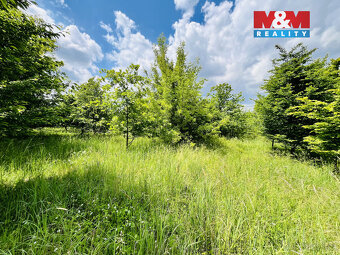 Prodej pozemku, 1026 m², Veselí nad Moravou - 9