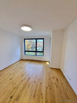 Pronájem bytu 2+kk/T,GS, 63,2 m2, P4-Nusle, ul. Mužíkova, 2. - 9