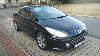 Prodám Peugeot 307 cc - 9