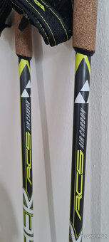 Fischer RCS carbon Lite / CLASSIC (197cm) - 9