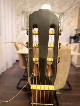Kytara Höfner - 9