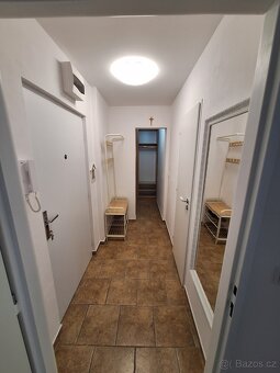 Pronájem bytu 1+kk (35 m2 ) Frenštát p. R. - 9
