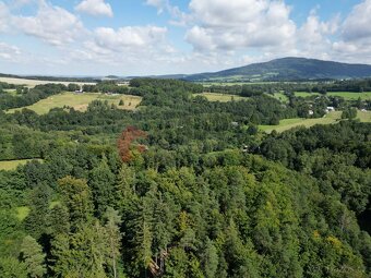 Prodej stavebního pozemku 3055 m2 Ondřejovice, okres Jeseník - 9