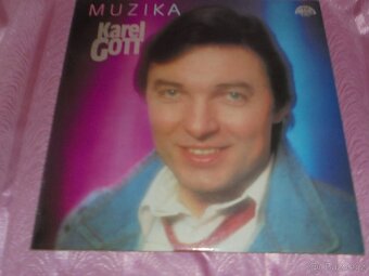 Cd Špinarová ,cd mix,lp - 9
