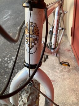 Bianchi XC 251 - 9