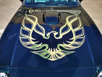 Pontiac Trans AM Firebird - 9