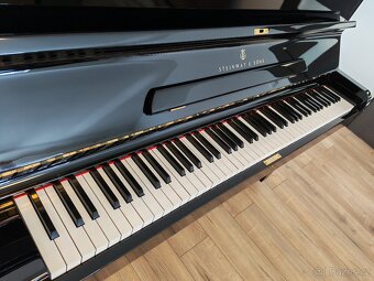 Steinway and Sons dovoz celá ČR - 9
