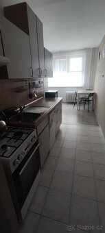 Pronájem bytu 1+1 Čéčova ul. - 9