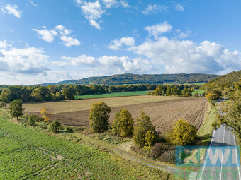 Prodej, komerční pozemek, 21944 m2, dálnice D1, Mankovice - 9