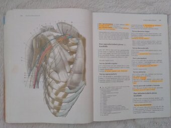 ANATOMIE 1,2,3 díly - Mudr. R. Číhák - 9