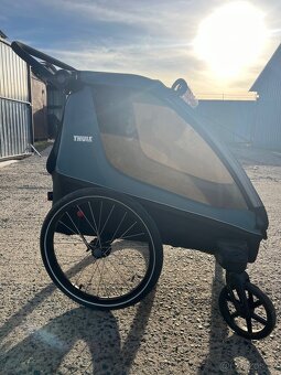Thule Courier - 9