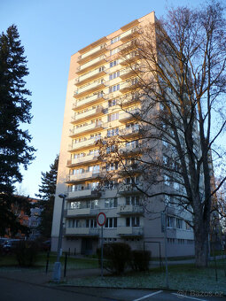 Pronájem 2+1 Čéčova, České Budějovice - 9