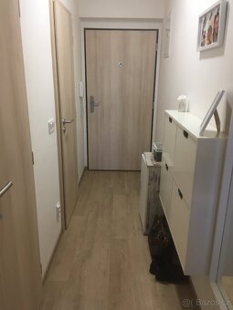 Pronájem bytu 1+kk, ulice Janského, Olomouc - 9