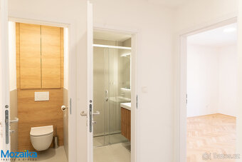 Pronájem bytu 3+kk + pokoj bez okna, po rekonstrukci, na nám - 9