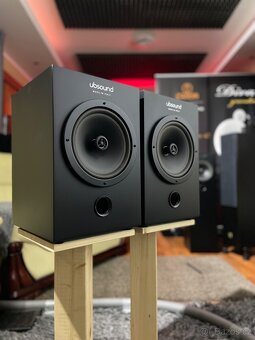 UBSOUND HDNSS COAXIAL AUDIOPHILE SPEAKERS - 9