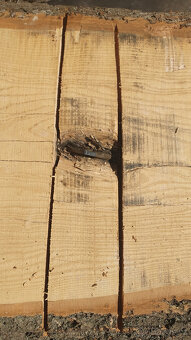 Jasanová fošna - blok na výrobu stolů - 9