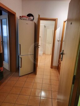 PRONÁJEM BYTU 1+KK, MASARYKOVA, HLUBOKÁ NAD VLTAVOU - 9