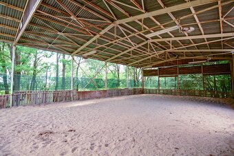 Nabídka box ustájení na Praze 5, na MHD, rodinná stáj - 9