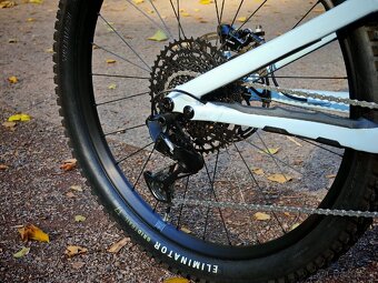 Specialized Turbo Levo - 9