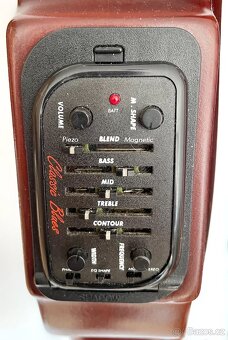 El. kontrabas DELICIA Fantasy (ELPRO-DELICIA Hořovice, 2004) - 9