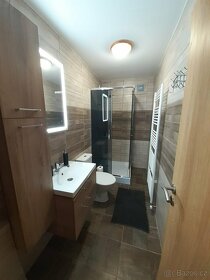 Pronajmu byt s privátní Vířivkou - 9
